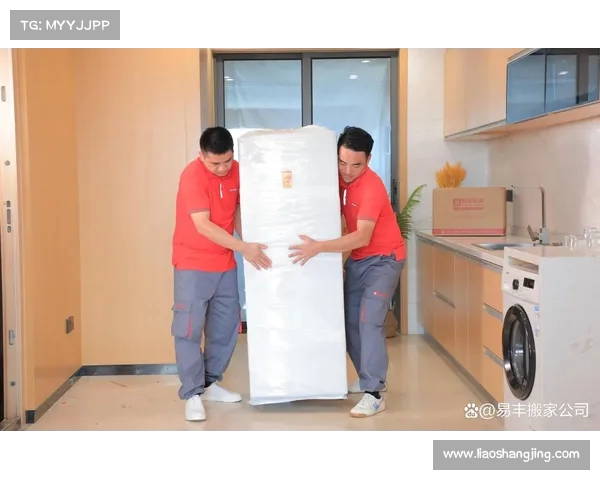 高效装备整理技巧与方法揭秘 让你的物品归类更有序 高效装备整理技巧与方法揭秘 让你的物品归类更有序