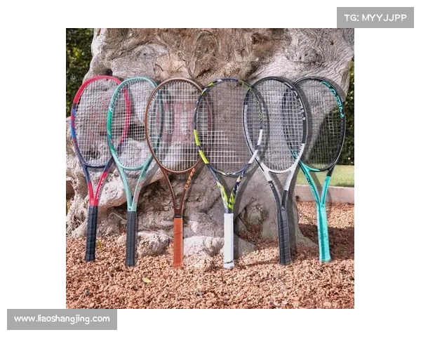 网球比赛用具的选择与使用技巧全面解析 网球比赛用具的选择与使用技巧全面解析