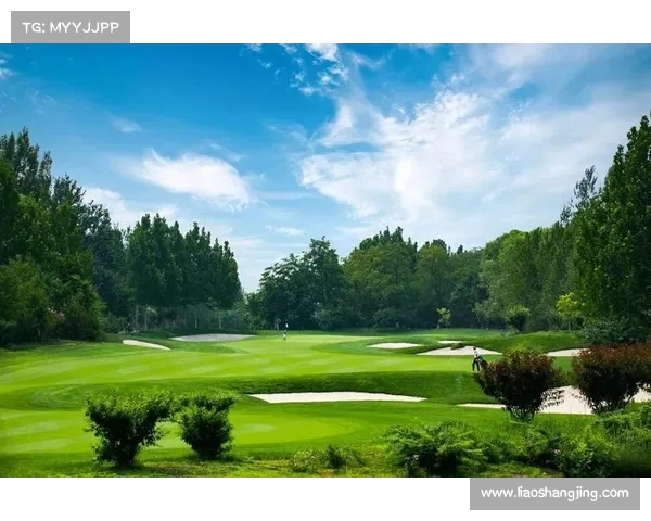 高尔夫裁判职责与挑战:精确判罚与规则执行的艺术 高尔夫裁判职责与挑战:精确判罚与规则执行的艺术