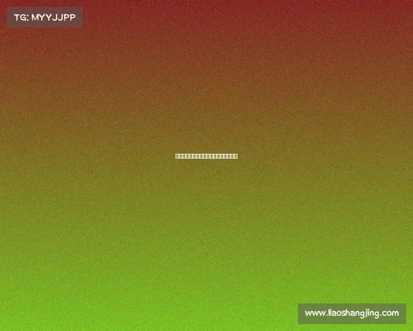 网球比赛用具的选择与使用技巧全面解析